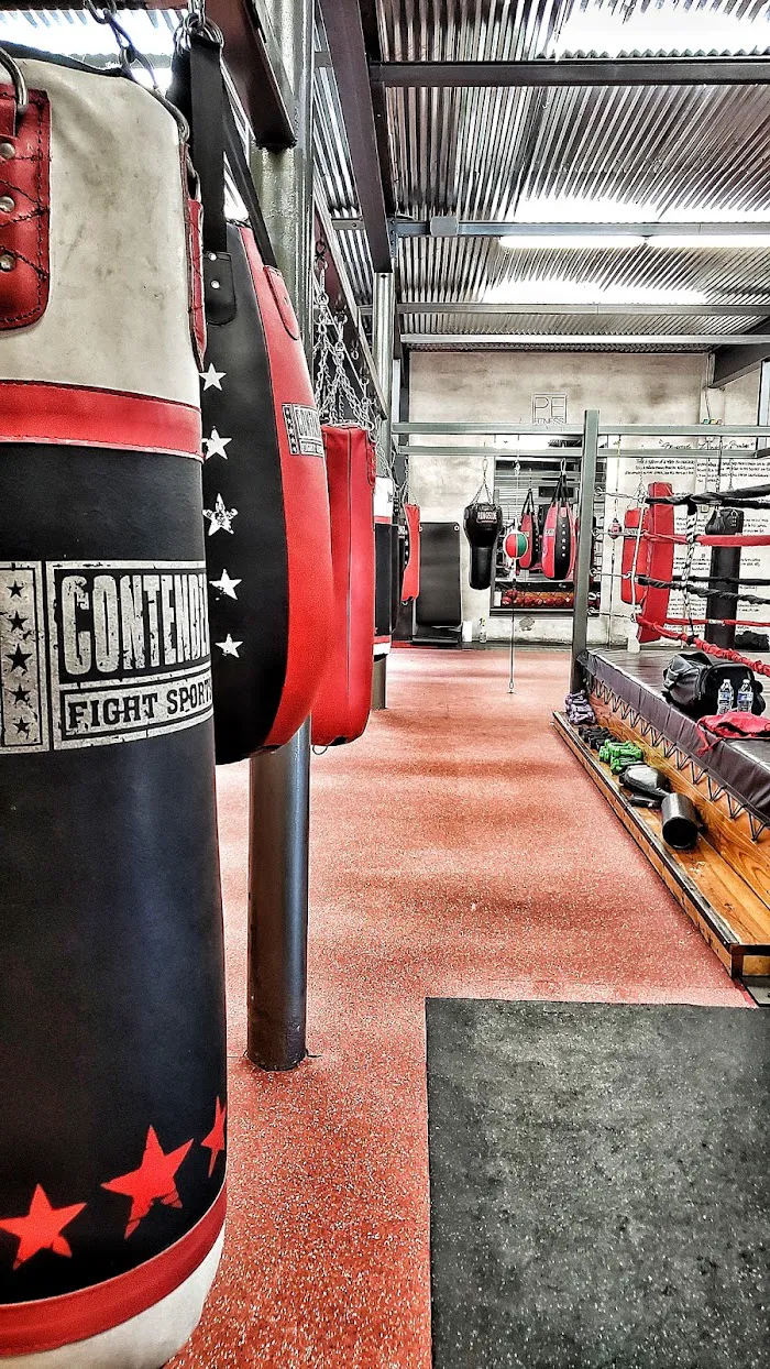 Punch Elite Fitness Miami 8