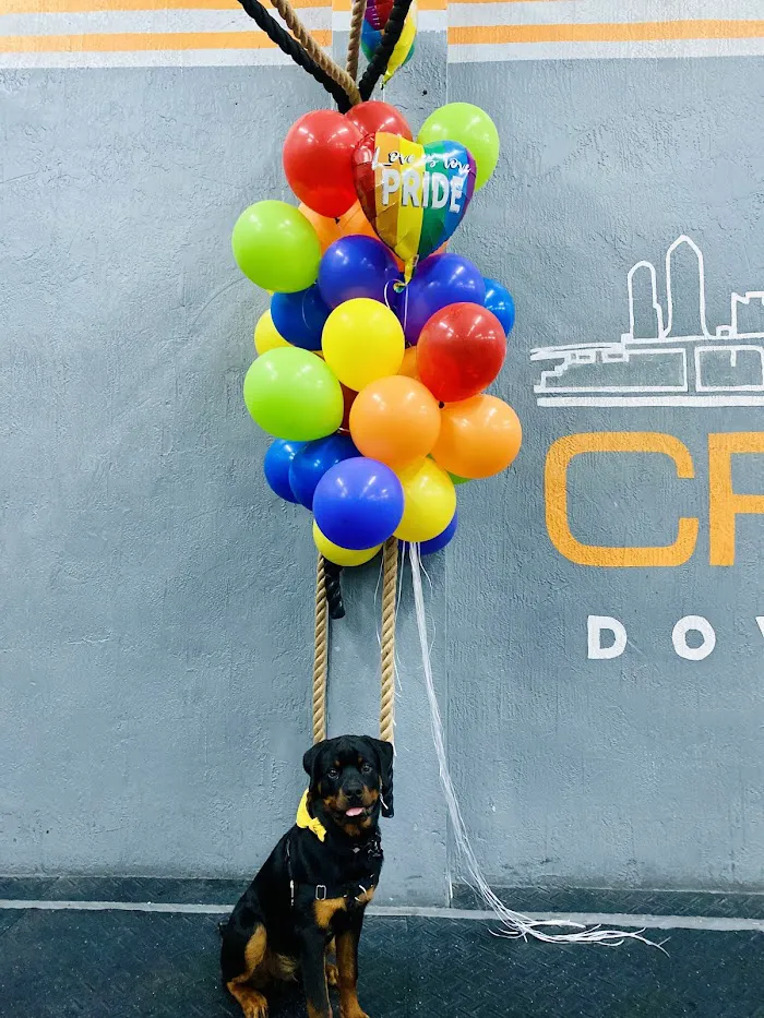 Crossfit Downtown Miami 8