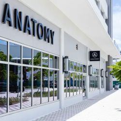 Anatomy ico