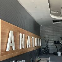 Anatomy