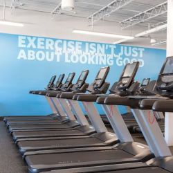 Blink Fitness Lodi ico