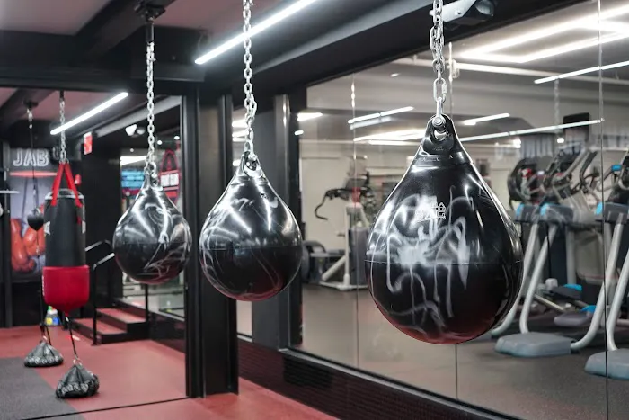 Vibe BQE Fitness 6
