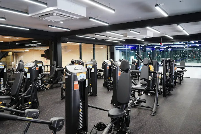 Vibe BQE Fitness 8