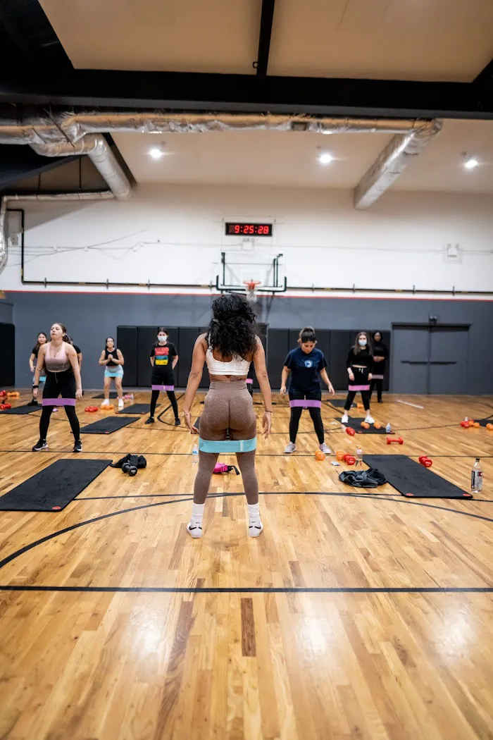 Vibe BQE Fitness 7