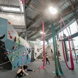 VITAL Climbing Gym - Brooklyn ico