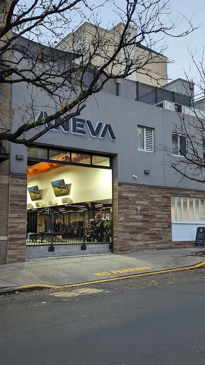 Aneva 0
