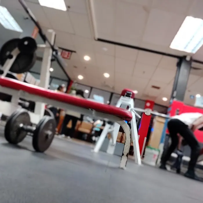 BARBELL FITNESS 6