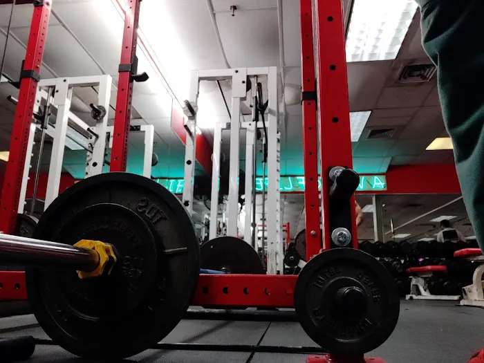 BARBELL FITNESS 5