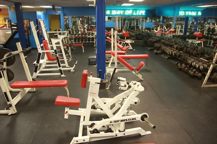 BARBELL FITNESS 7