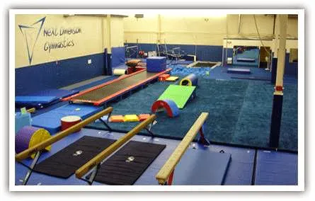 Next Dimension Gymnastics 2