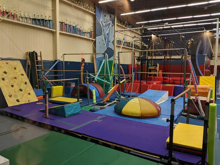 Next Dimension Gymnastics 5