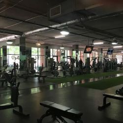Diesel Fitness ico