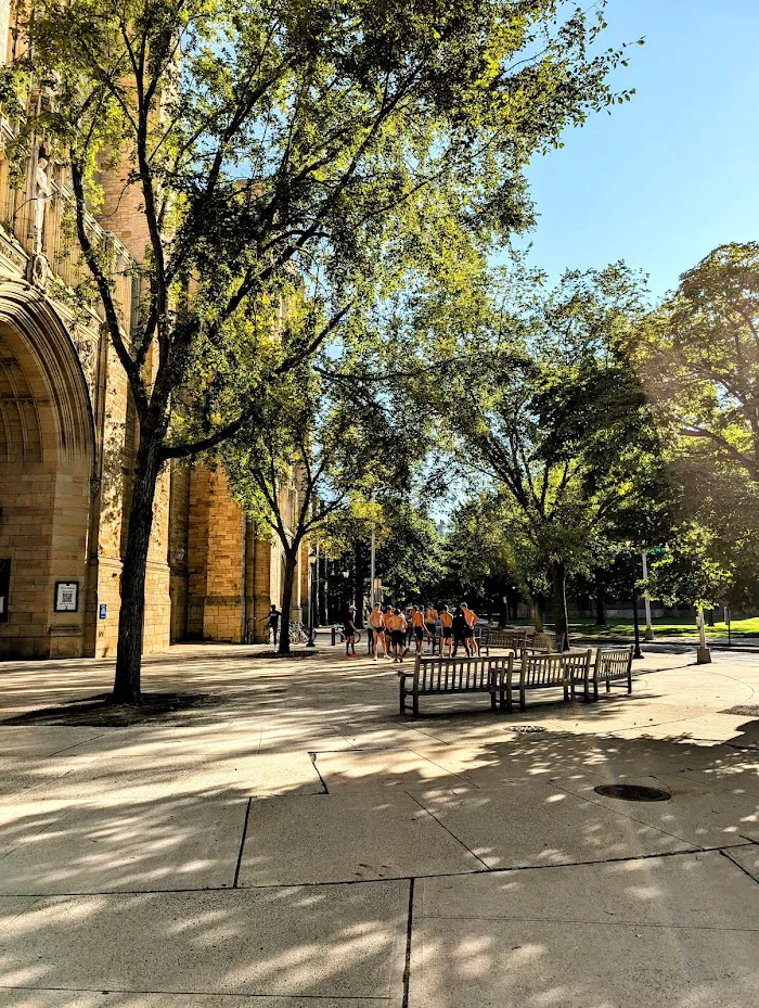 Payne Whitney Gymnasium 6
