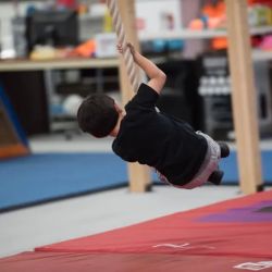 New Era Gymnastics ico