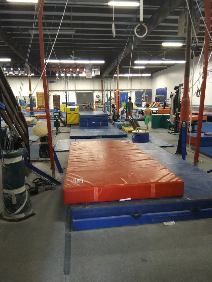 New Era Gymnastics 5