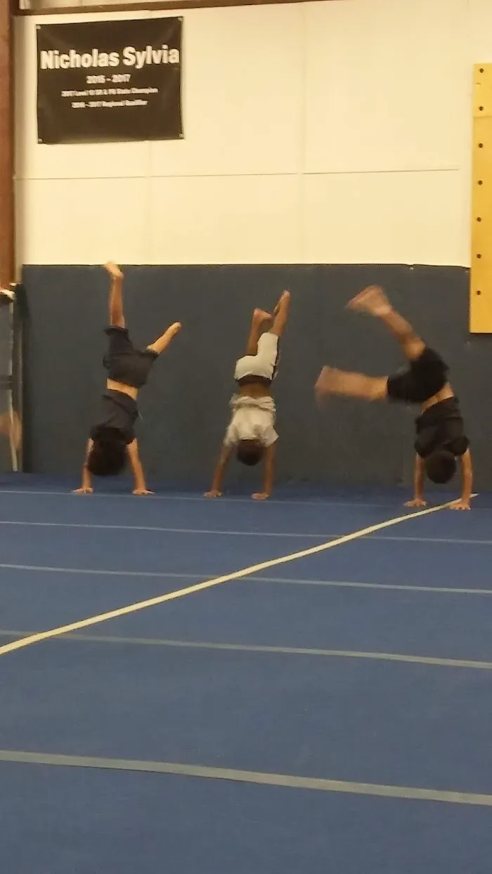 New Era Gymnastics 8