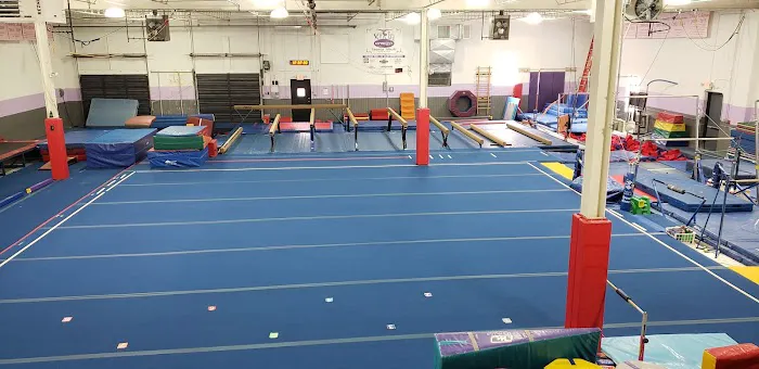 New Era Gymnastics 7