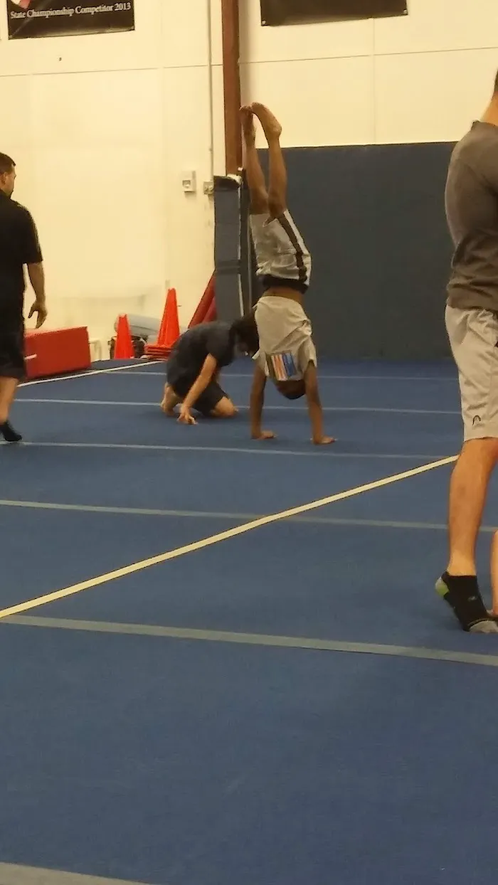New Era Gymnastics 6