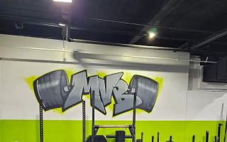 mount vernon barbell reviews