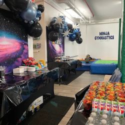 Ninja Gymnastics Factory ico