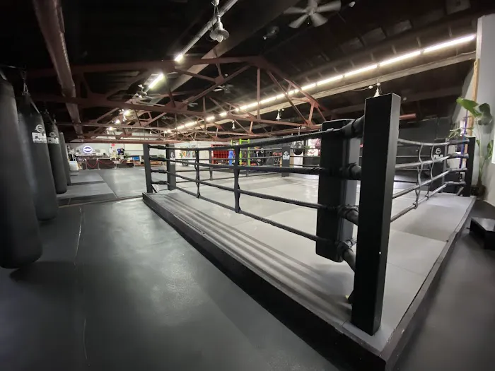 THE FIGHT LAB USA 0