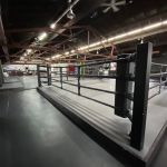 THE FIGHT LAB USA