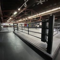 THE FIGHT LAB USA ico
