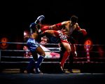 Detailed Muay Thai Competition Rules: Everything You Need to Know