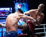 Muay Thai vs. Boxing for Fighters – Which Discipline Reigns Supreme?