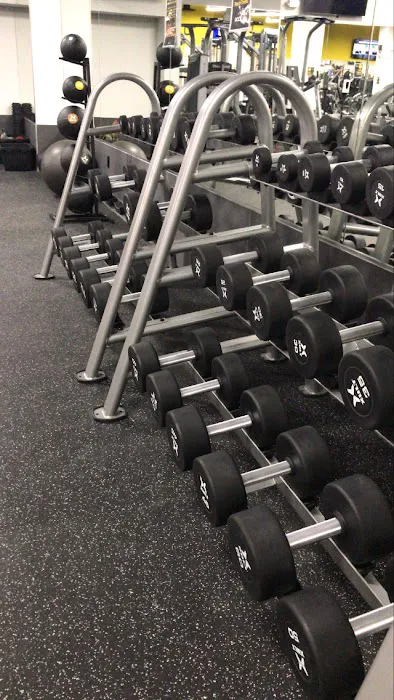 Rock Fitness 7