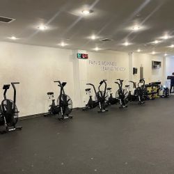 FlexFiiT NYC ico