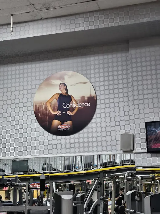 Synergy Fitness Clubs 6