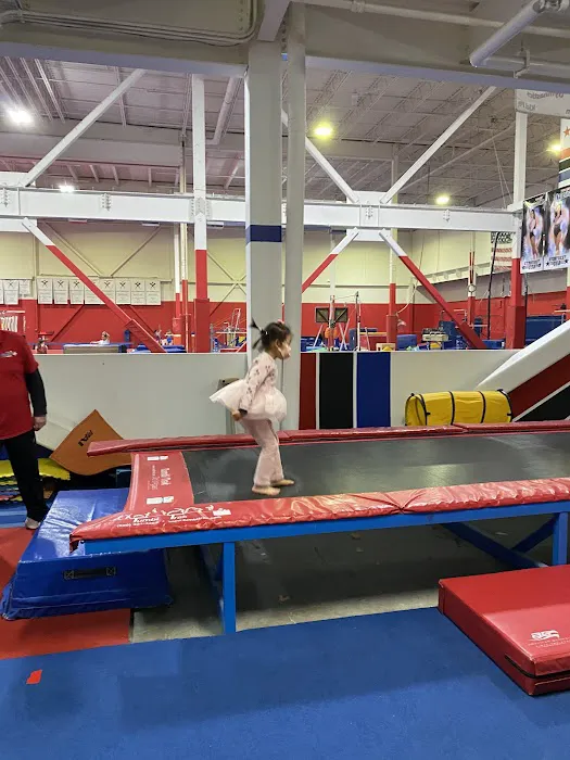 Gymstreet USA 4
