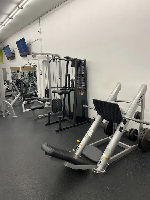 LIVFIT 3