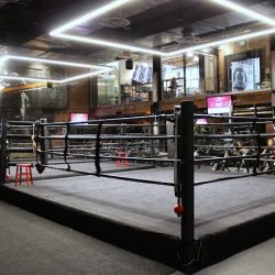 EverybodyFights ico