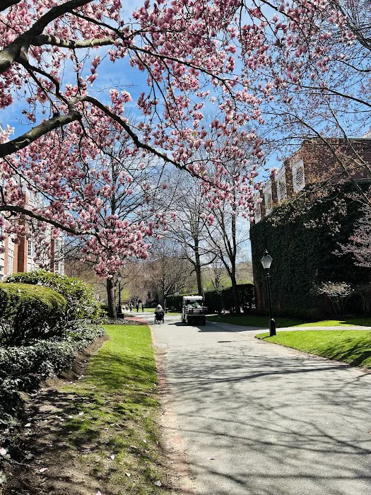 Shad Hall 4