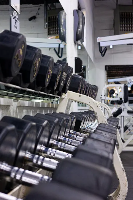 Prolifters Gym 3