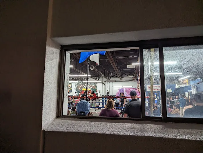 Boston Boxing & Fitness 0