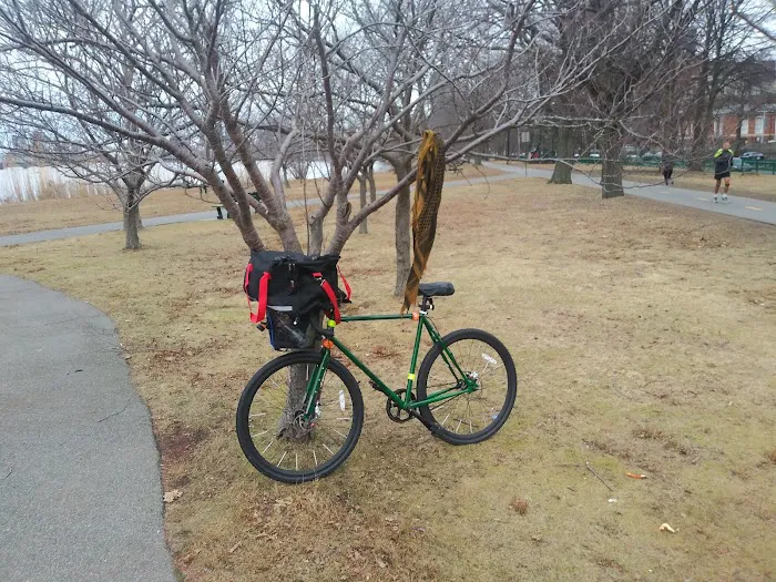 Esplanade Outdoor Gym 6