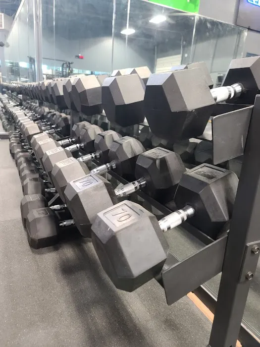 Hardbodiez Gym 4