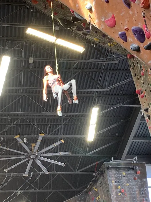 Momentum Indoor Climbing Millcreek 2