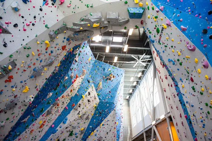 Momentum Indoor Climbing Millcreek 1