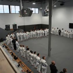Crown BJJ ico