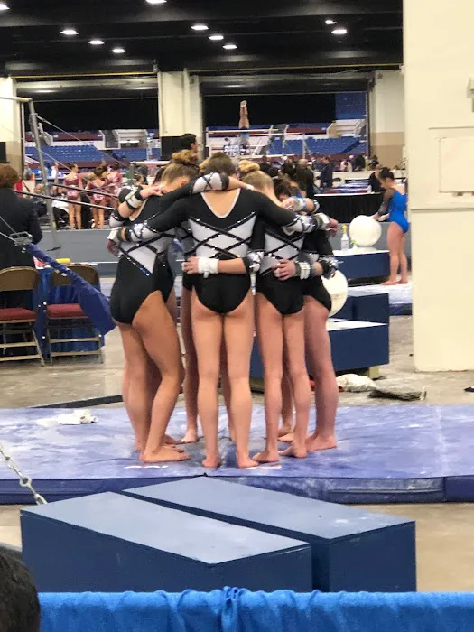All American Gymnastics 5