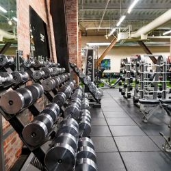 Powerhouse Gym Elite ico