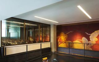 equinox palo alto reviews