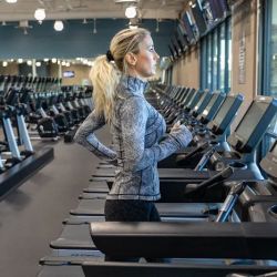 Fitness 19 ico