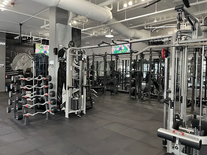 Pro Fit Training Gym 0