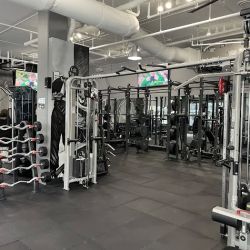 Pro Fit Training Gym ico