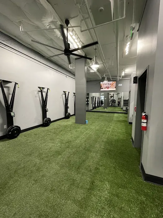 Pro Fit Training Gym 5